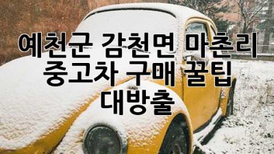 예천군 감천면 마촌리 중고차 구매, 꿀팁 대방출! 🚗💨